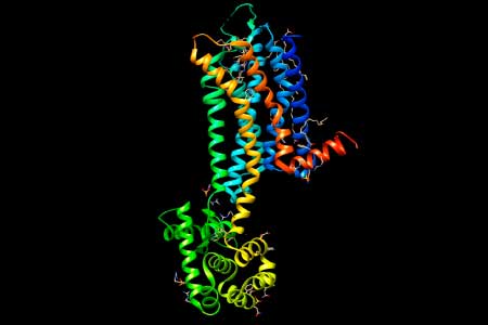 Imagen 3D de una proteína