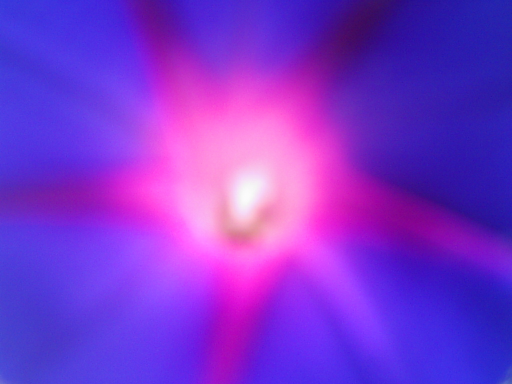 Flor de Luz 2