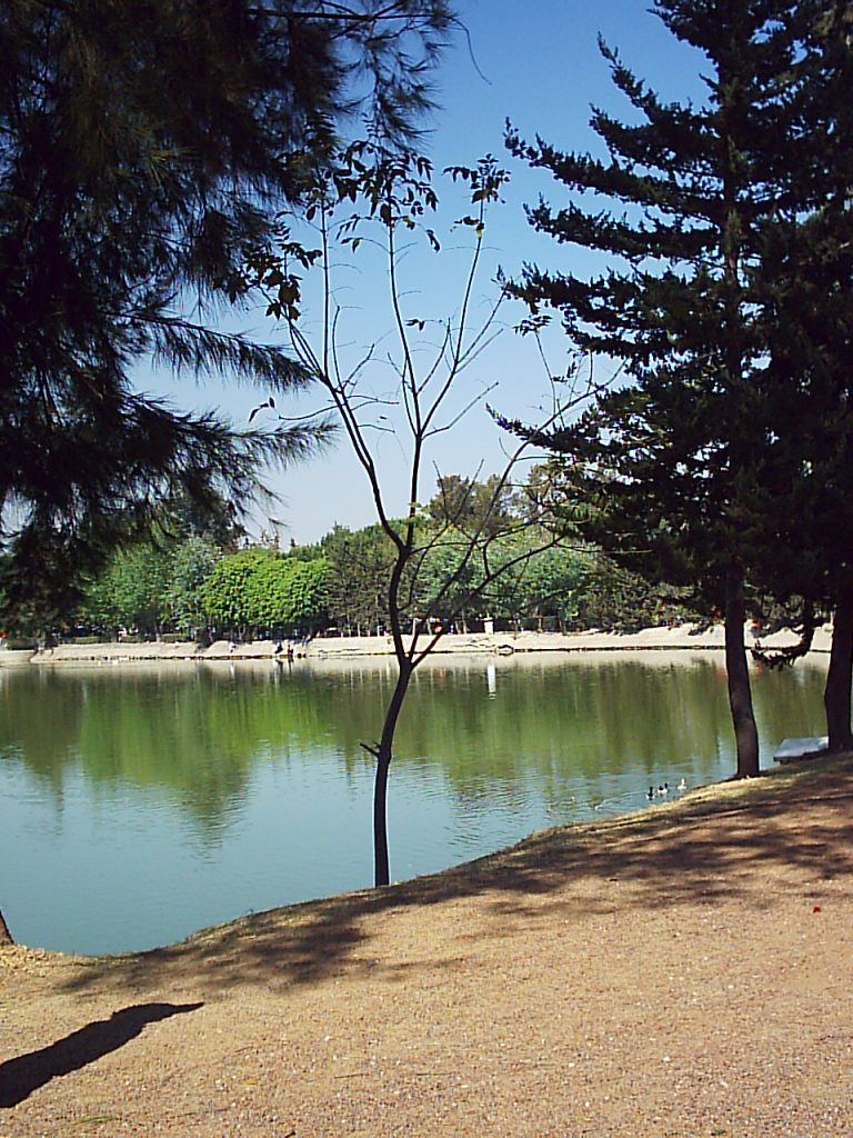 Paisaje agrietado