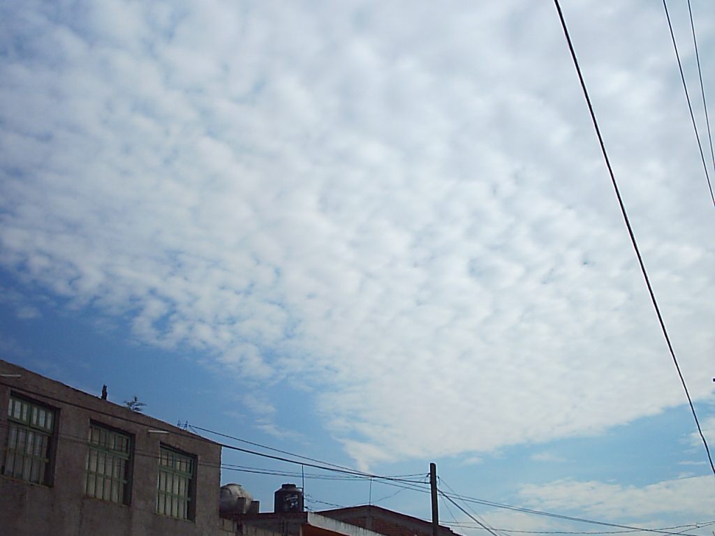 parvada