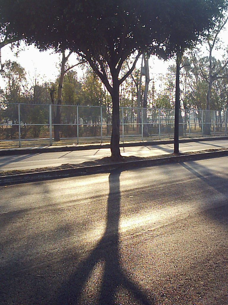 árbol simétrico